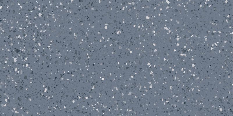 DASV1815 Porfido blue R10 60x120 RAKO
