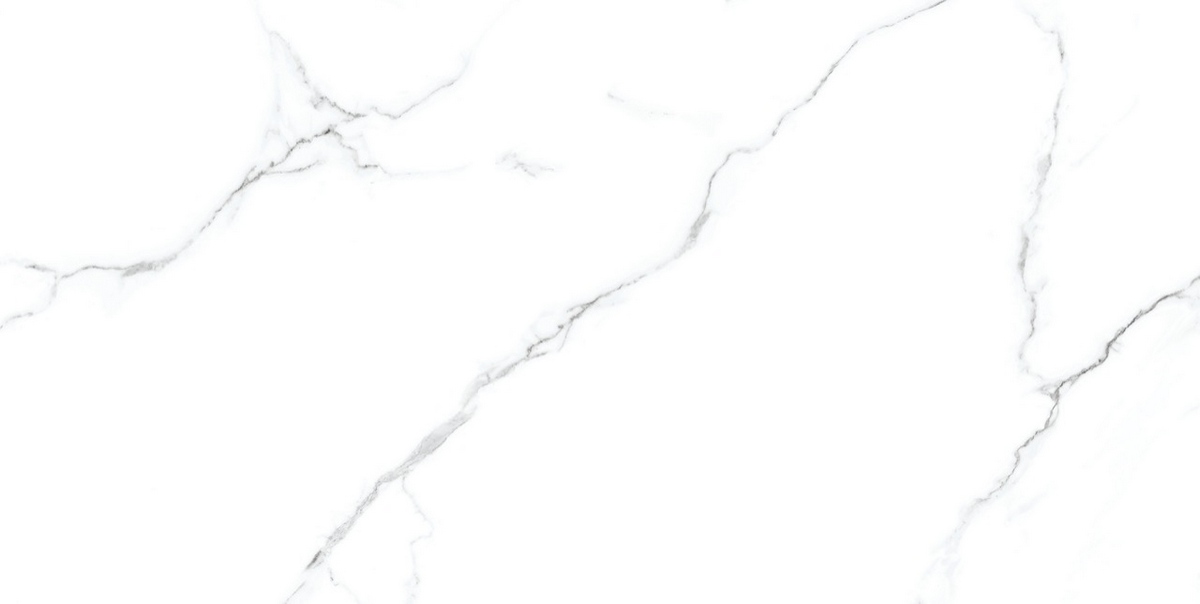 N20419 Mckinley Carving 60x120 Neodom