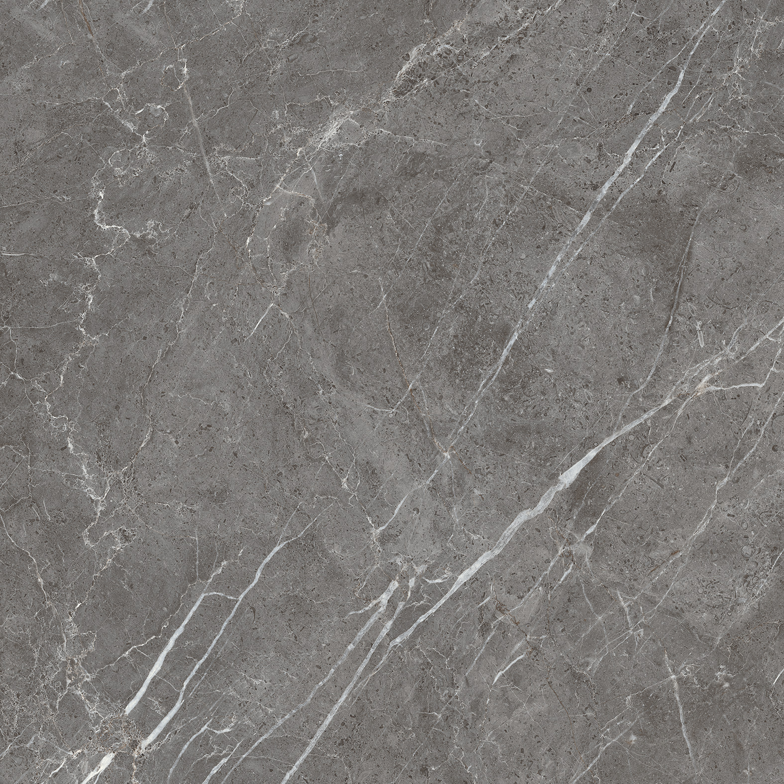 CR6001-A Esperia Grigio Carving 60x60 Arcadia Ceramica фото 8
