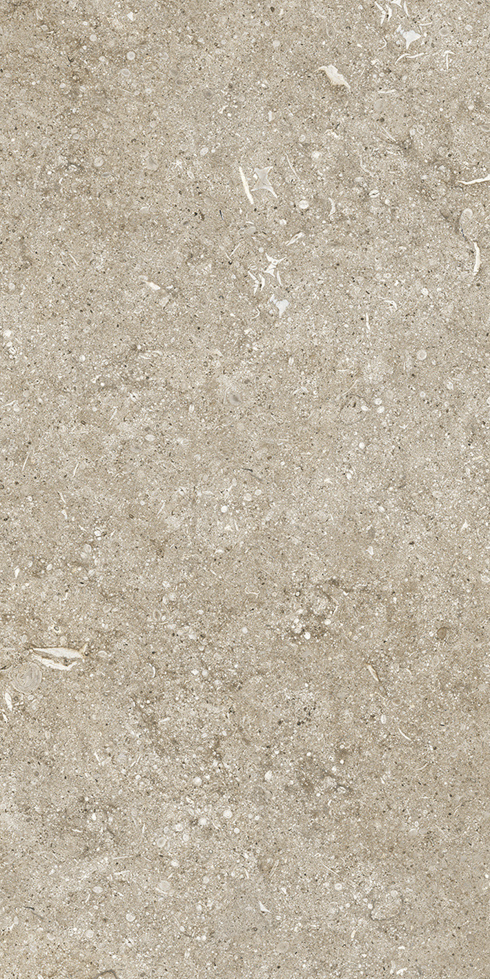 768338 Sensi Ivory Fossil R+PTV Ret 40x80 Casa Dolce Casa