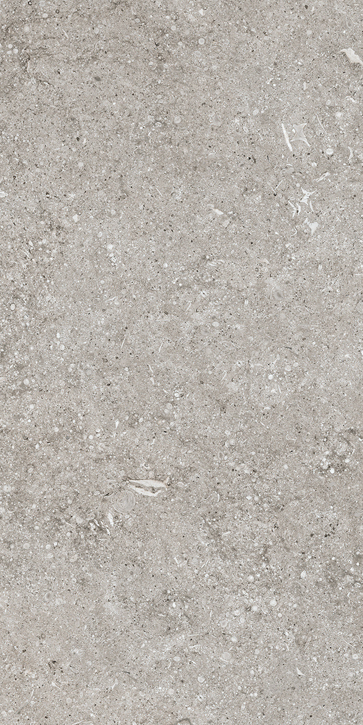 768343 Sensi Grey Fossil R+PTV Ret 40x80 Casa Dolce Casa