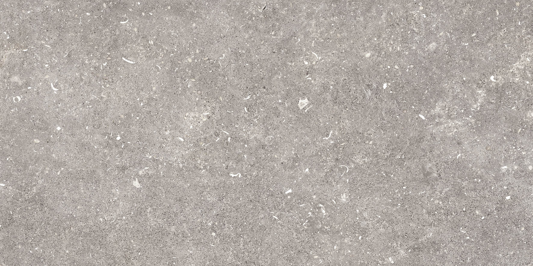 096.022.0002.00206 Dover Gris MT Rect 60x120 Pamesa