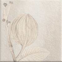 Soft Kamelia White 15x15 Mainzu