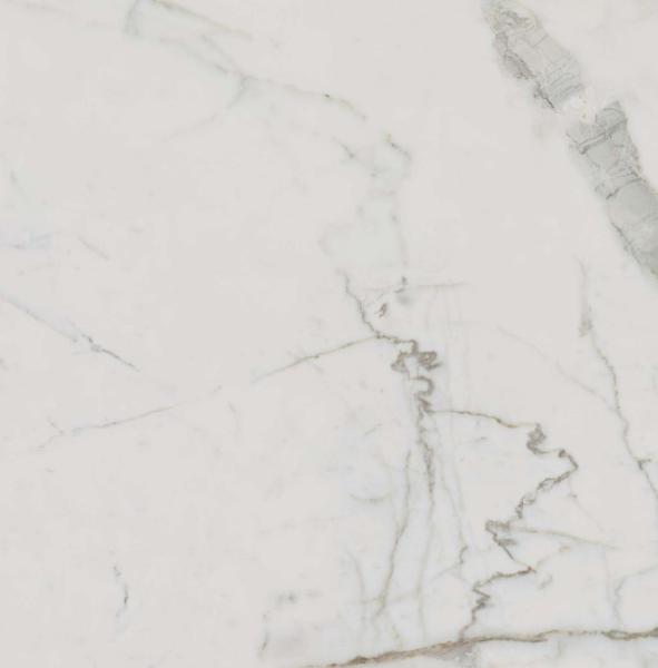 302861 Supreme Calacatta Rett 60x60 Dado Ceramica