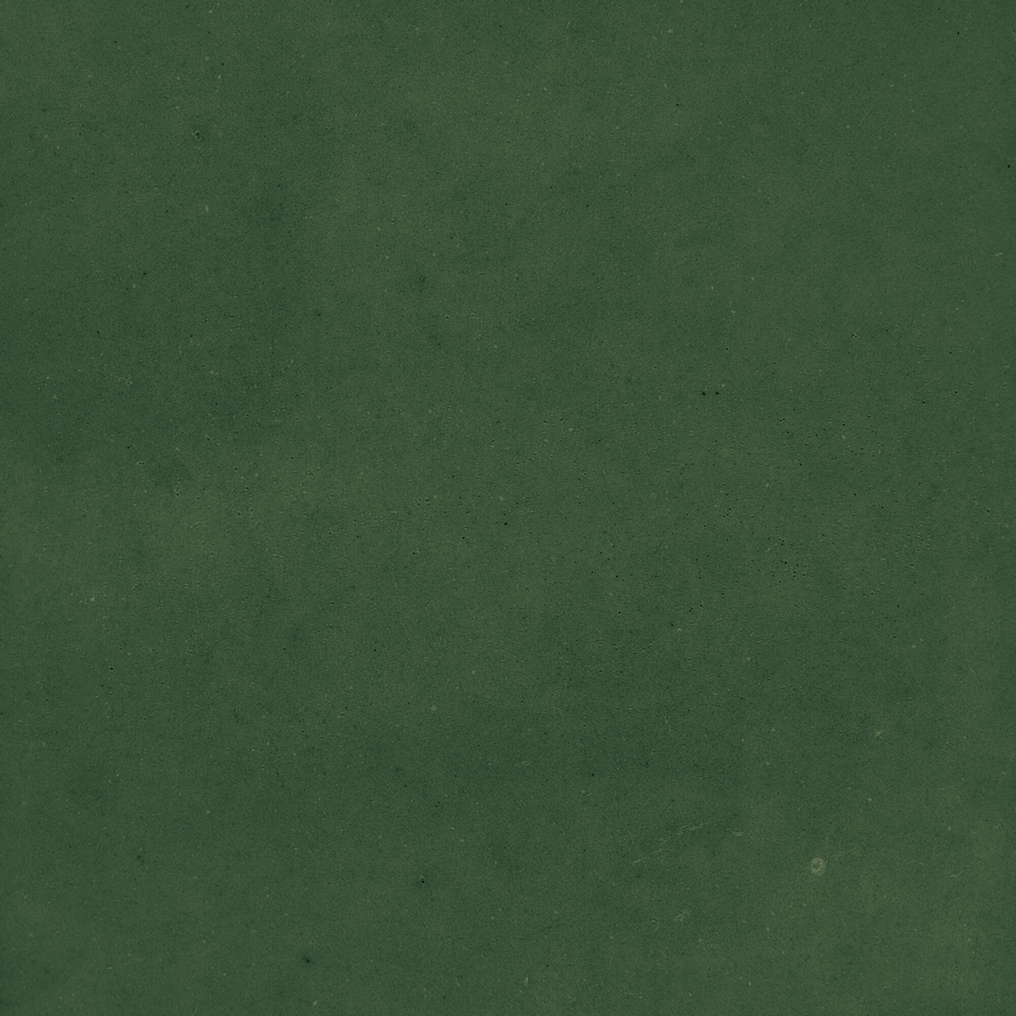 43289 Samira Green 10x10 Harmony фото 19