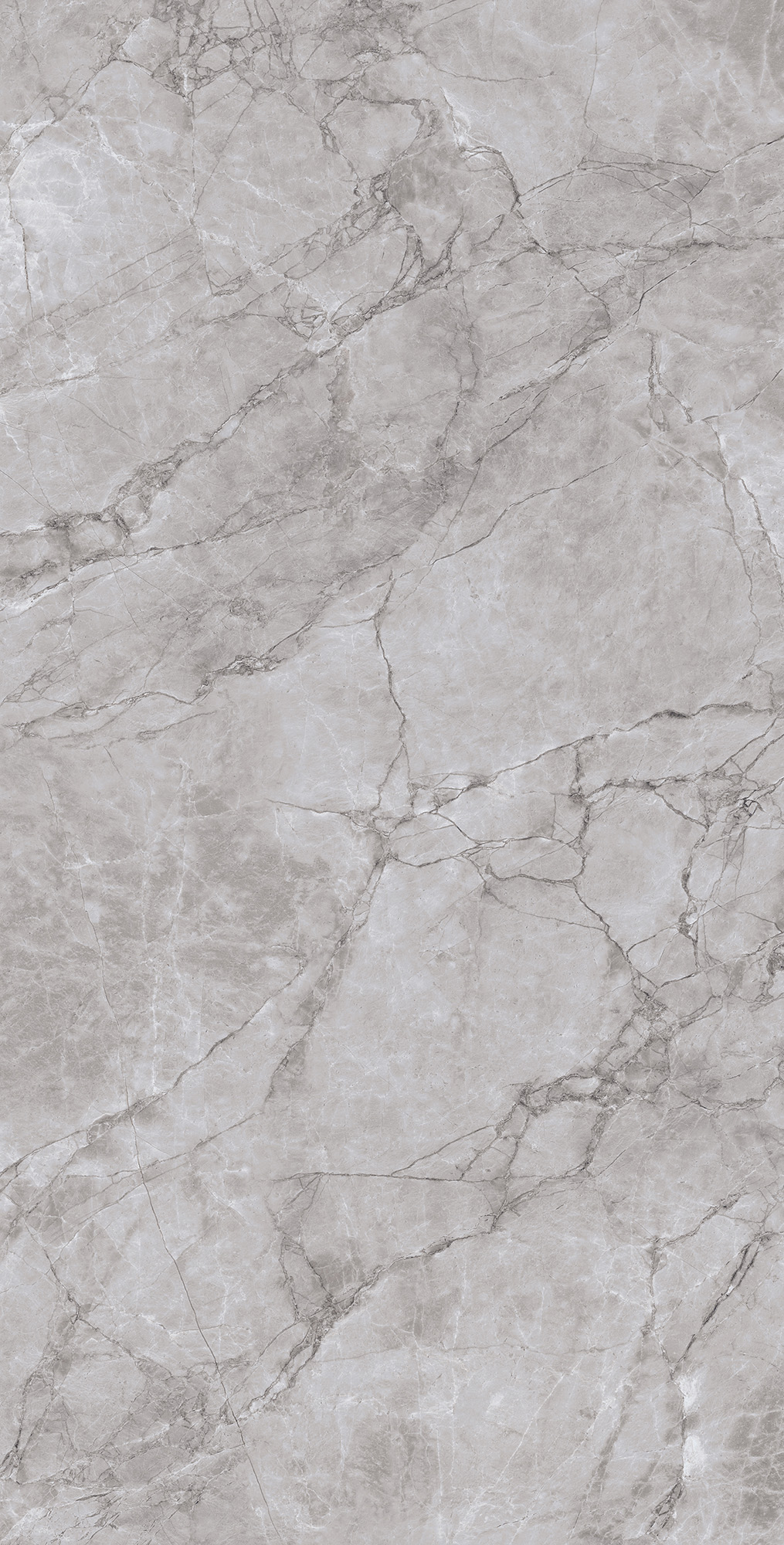 CL4005-A Arctic Grey Carving Lappato 60x120 Arcadia Ceramica