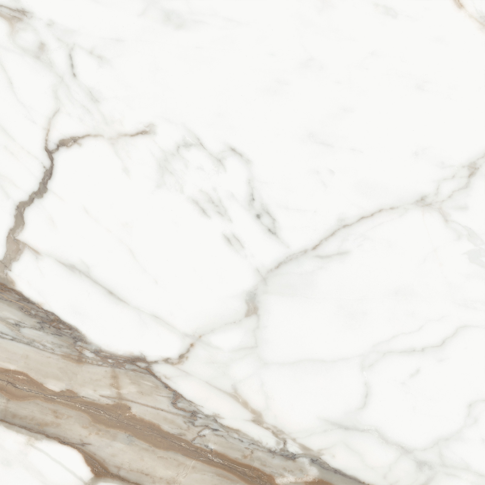 D60209M Calacatta Premium карвинг 600x600x9.5 Delacora