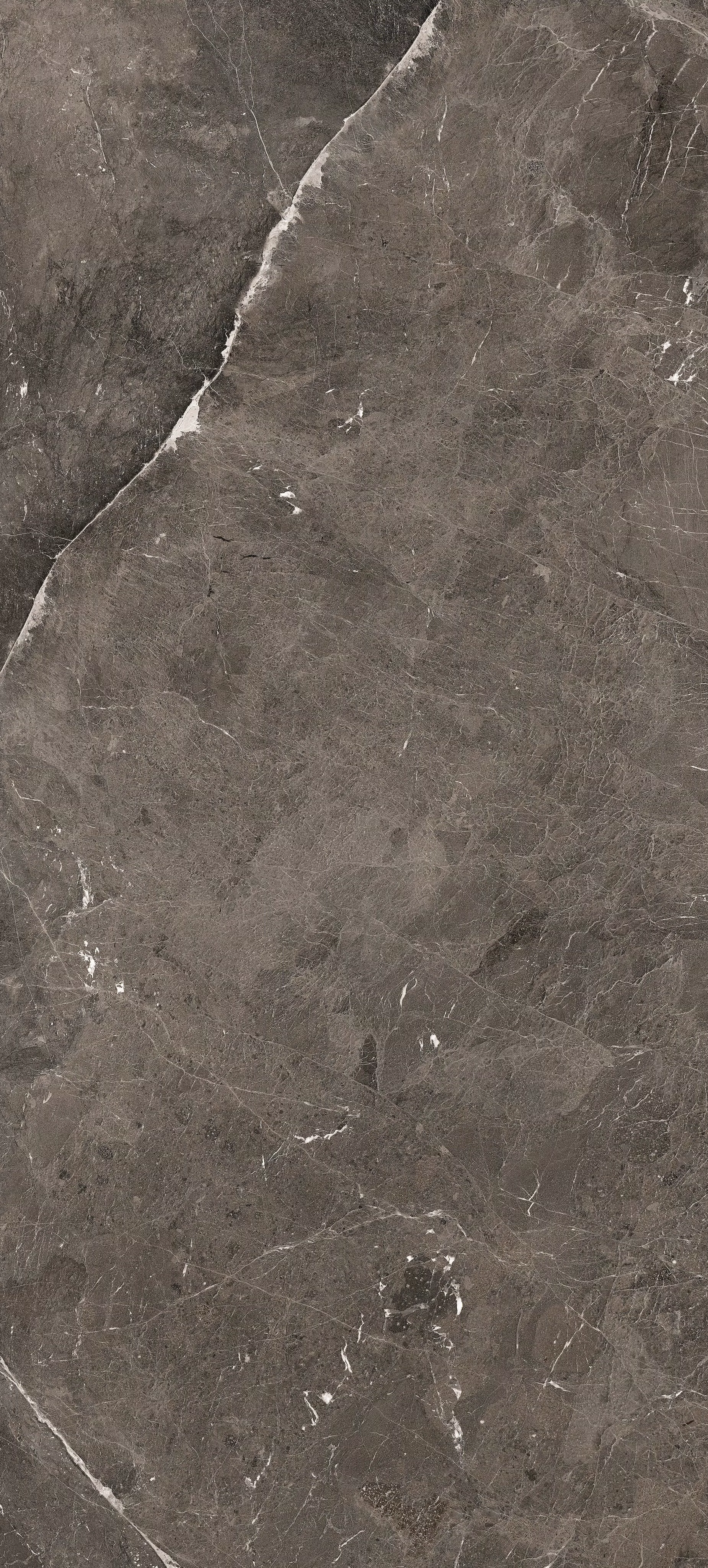 Heritage Luxe Brown Glossy 6mm 120x280 Rex Ceramiche фото 5
