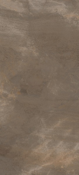 TREX6 260TO LP Dove Gray 120x260 La Faenza