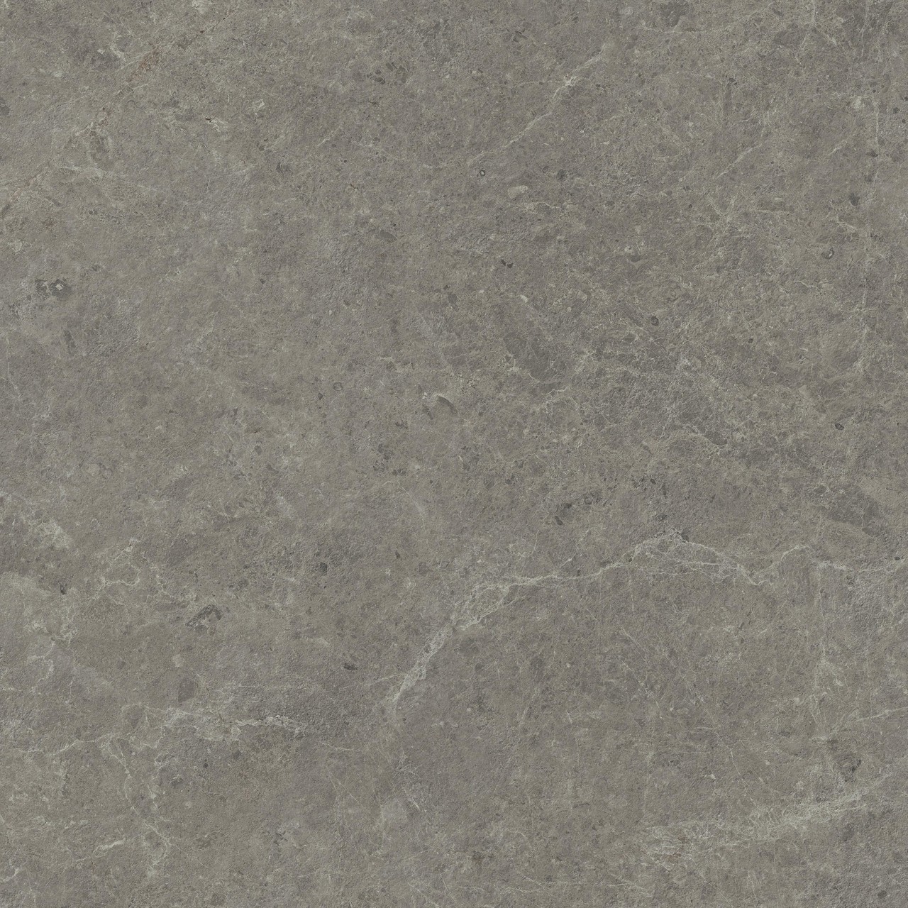 HCQ1 Nyra Meteor Matt 120x120 Atlas Concorde