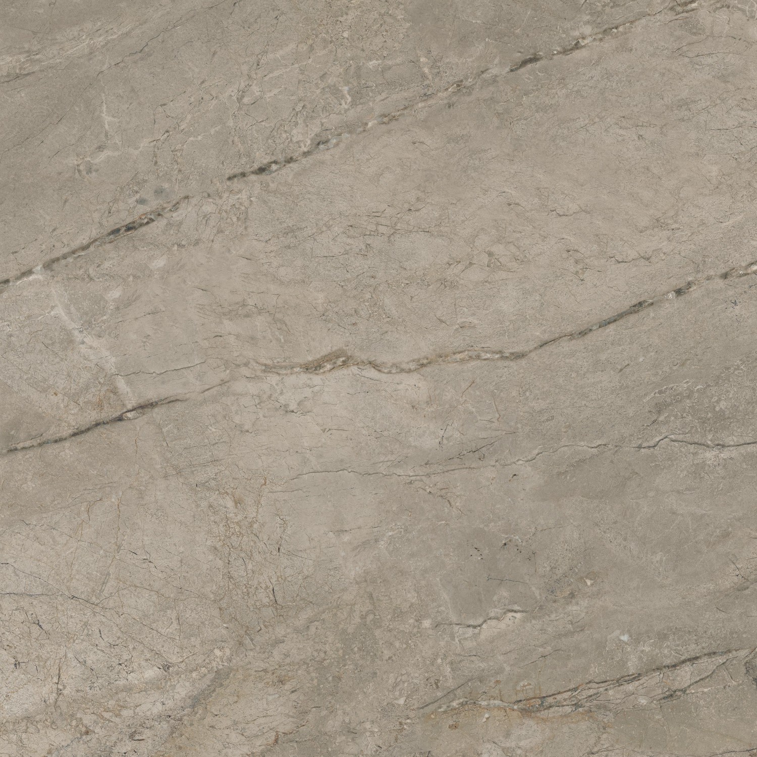 610015000650 Forte dei Marmi Mystic Grey 80x80 Atlas Concorde Russia