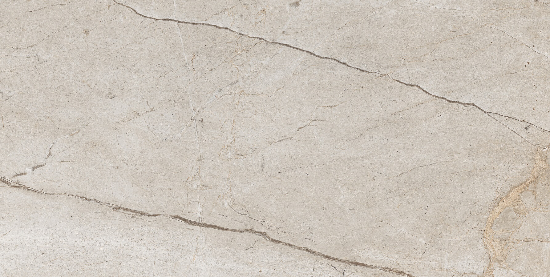 Eco 6536 Polished 60x120 A-Ceramica