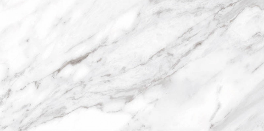 North Gloss White 49.1x98.2 Ceracasa