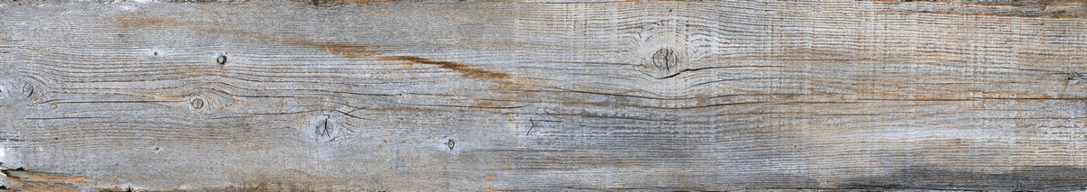 ENWD1023CR20120 Afromontane Carving 120x20x0.9 Ennface