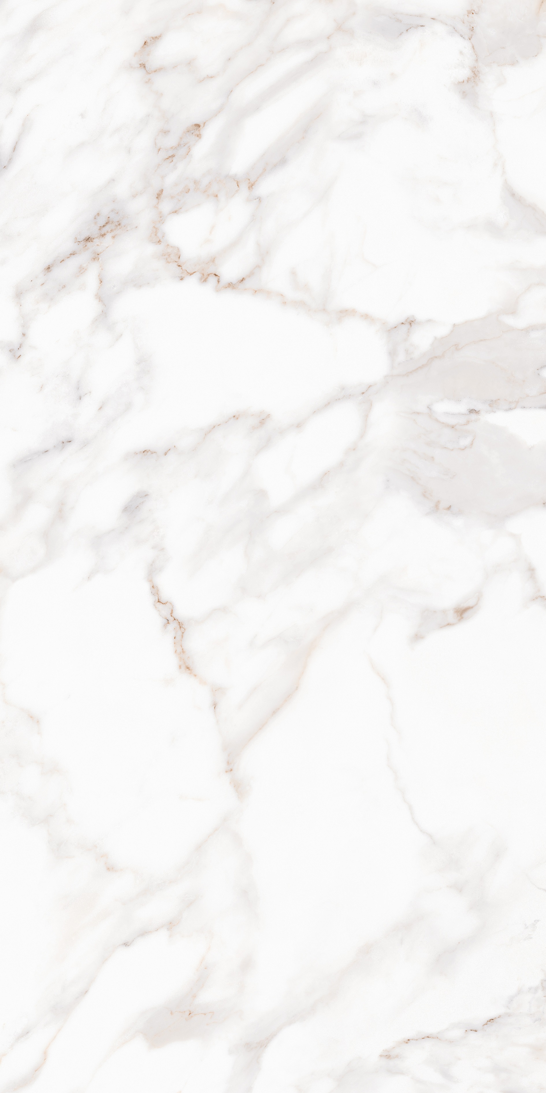MPL-058632 Calacatta Satin 80x160 Creto