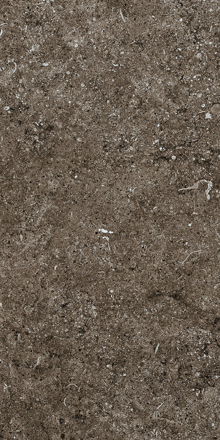 768354 Sensi Brown Fossil R+PTV Ret 40x80 Casa Dolce Casa