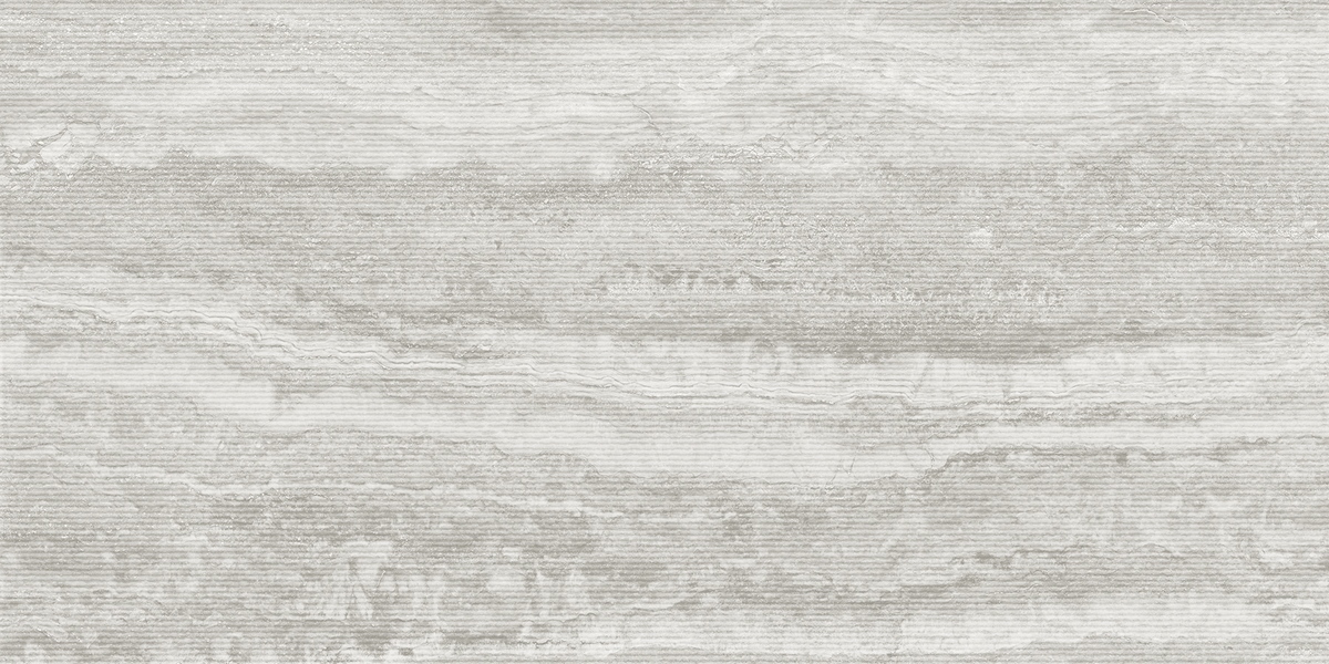 232480 Lugano Decor Silver Matt 60x120 ProConcept фото 4