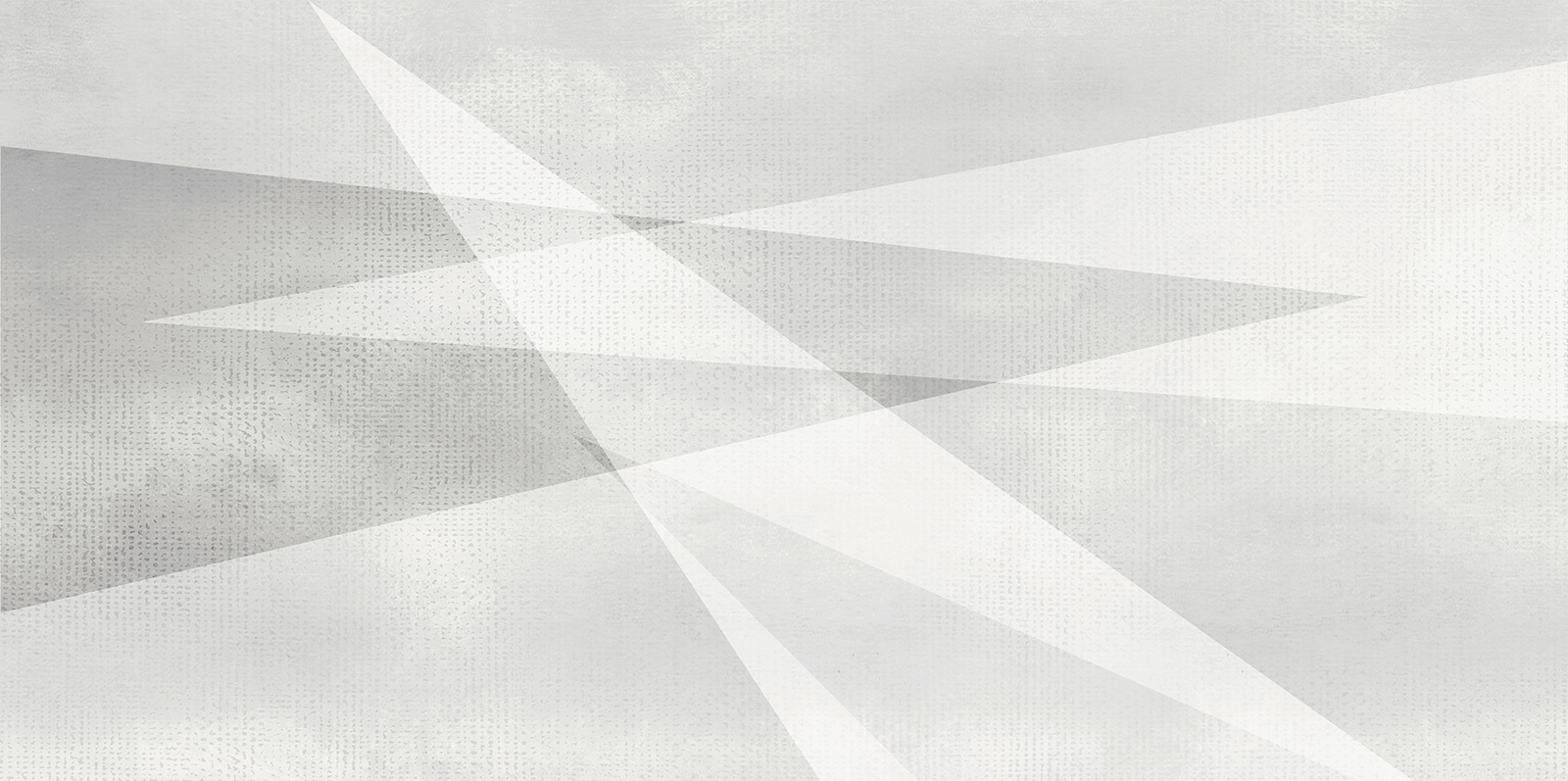 WT9SHG00 Shape Geometric White 24.9х50 AltaCera
