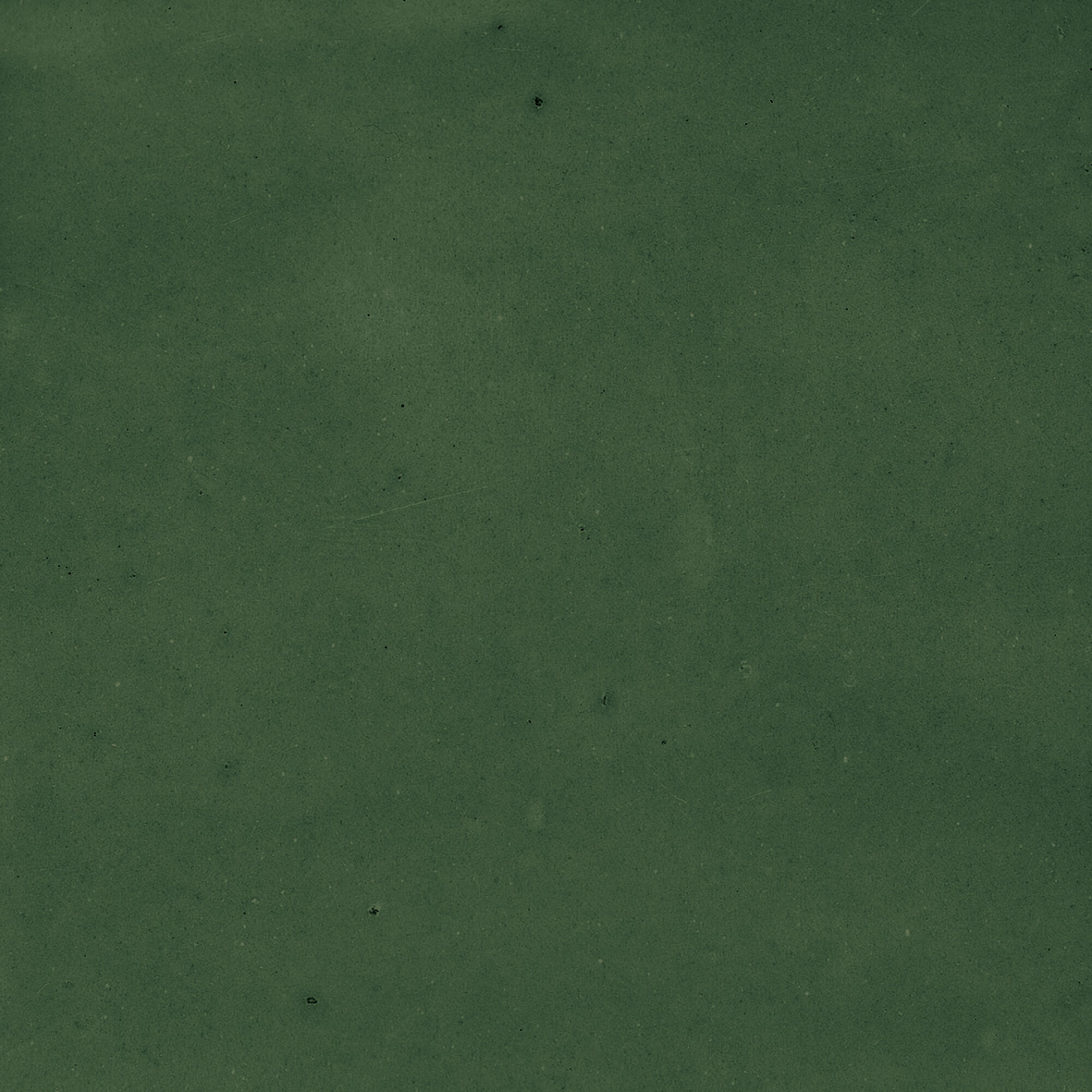 43289 Samira Green 10x10 Harmony фото 2