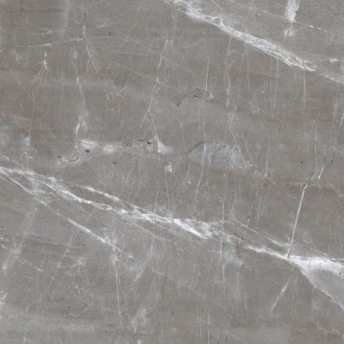 Patara Grigio I Полированный 60x60 Laparet