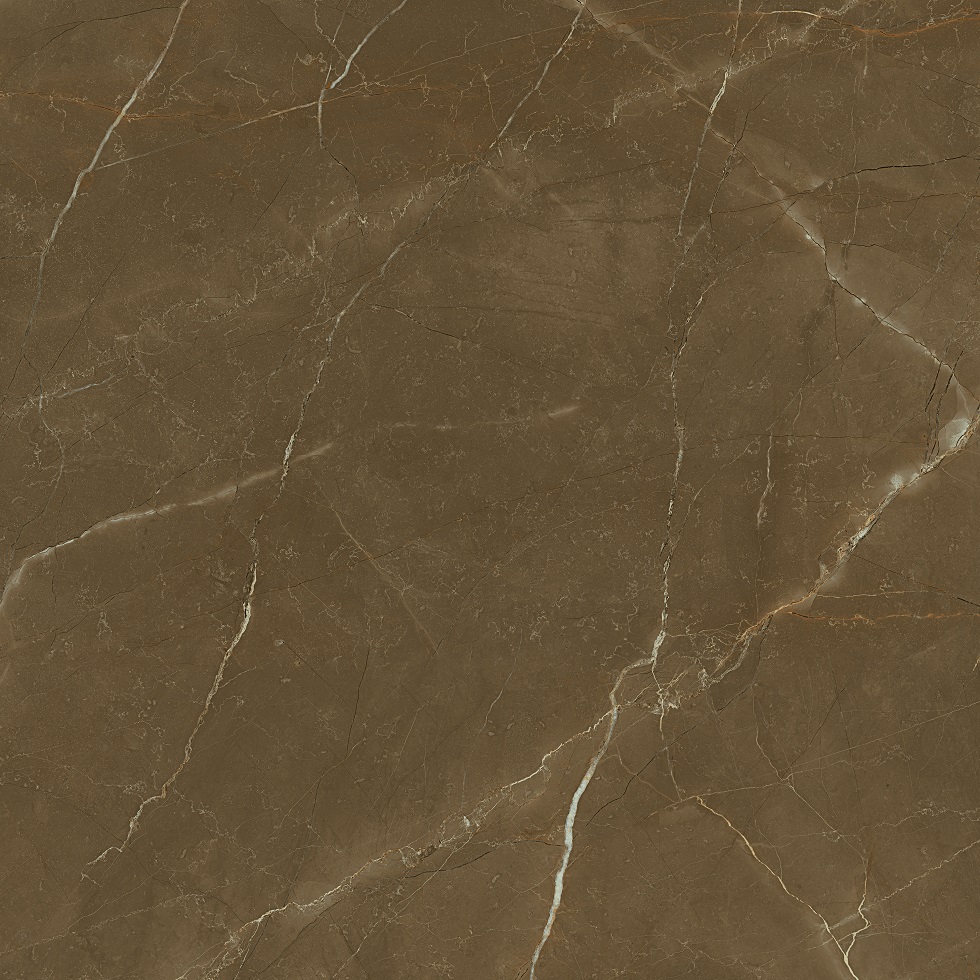1804 Tabaco Rectificado Pulido 98x98 Porcelanite Dos
