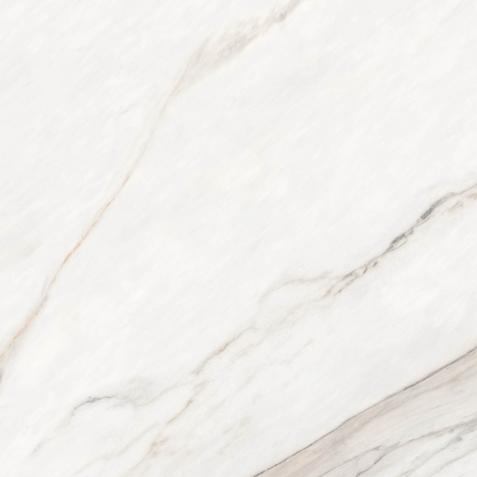 6060CMN01 Calacatta Monsoon Sugar 600x600x9.5 Delacora