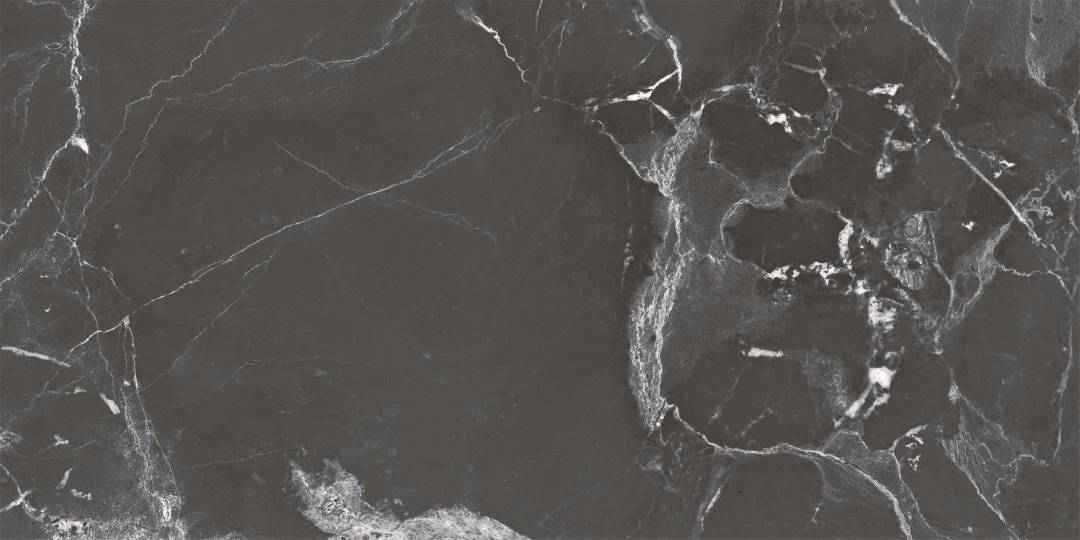 NR236 Dalim Black Матовый 60x120 PrimaVera