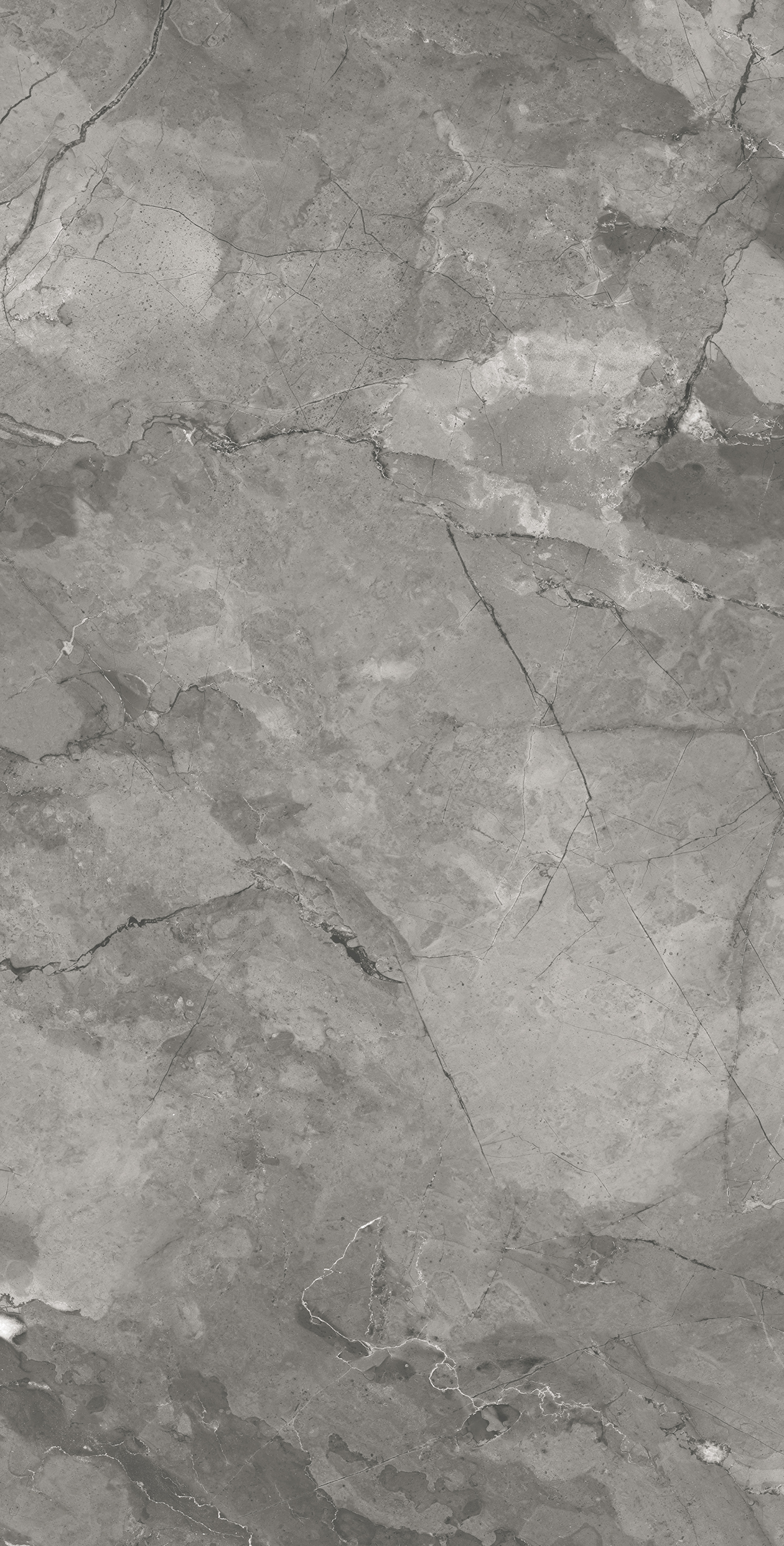 CR4030-A Bismanto Grey Carving 60x120 Arcadia Ceramica фото 6