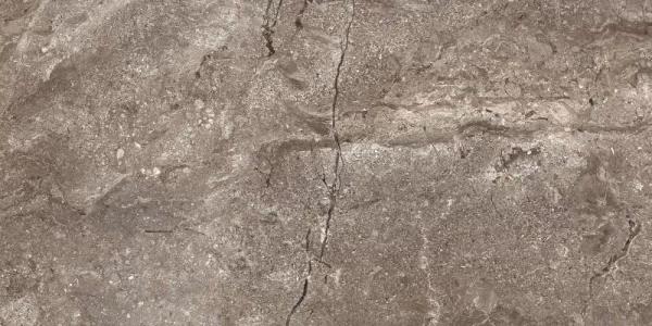 6405 Stone Grey Polished 60x120 Leopard