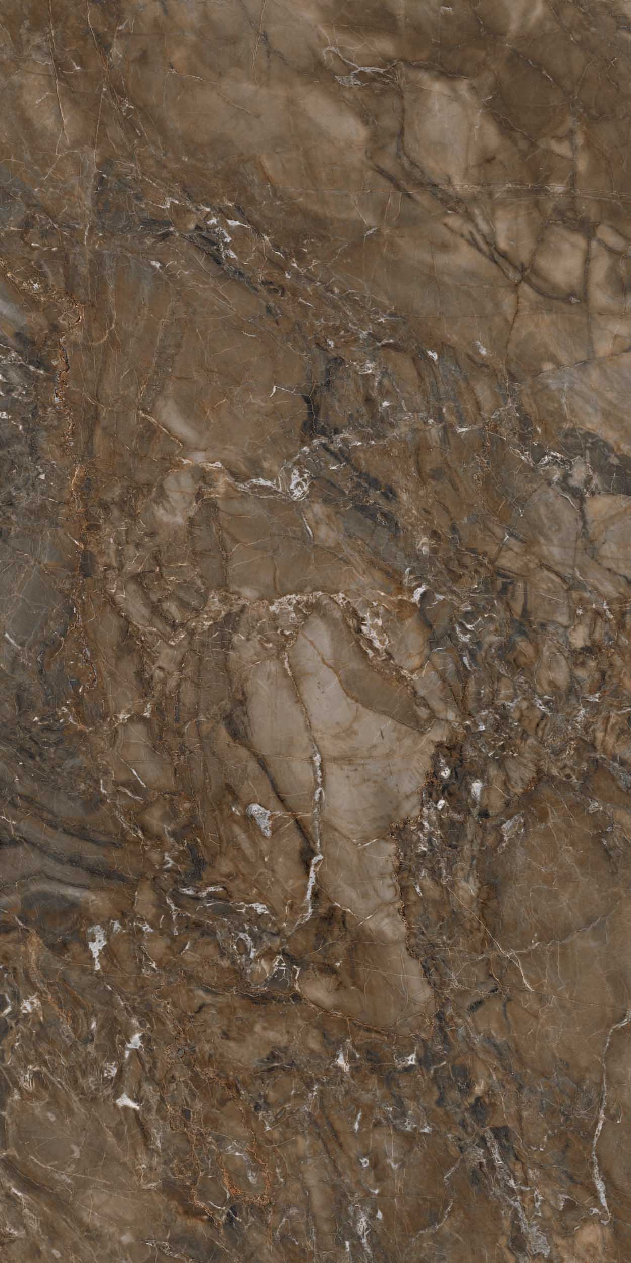 BR04 Bernini Dark Brown Неполированный Рект. 60x120x9 Estima фото 2