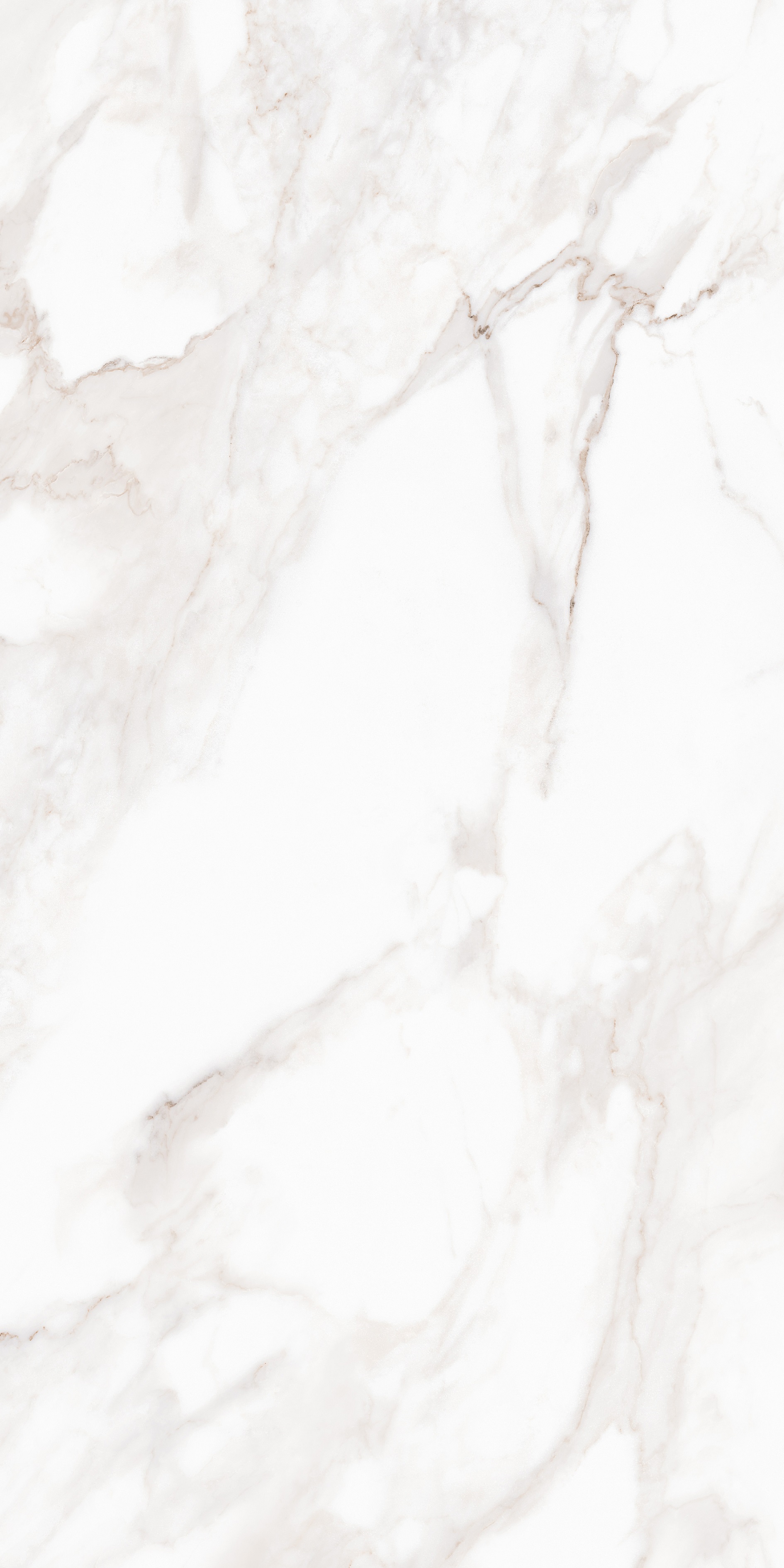 MPL-058632 Calacatta Satin 80x160 Creto