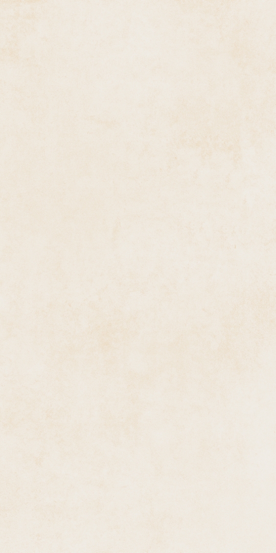 PT12F7031 Urban Beige Matt 1200х600х9 Protiles
