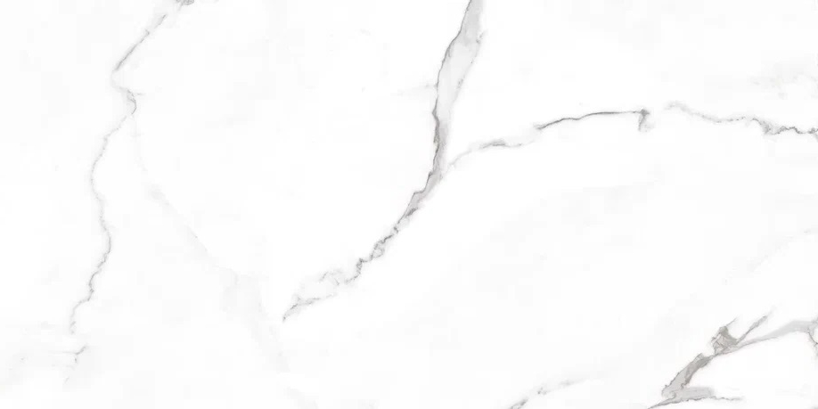 NR235 Dalim White Матовый 60x120 PrimaVera