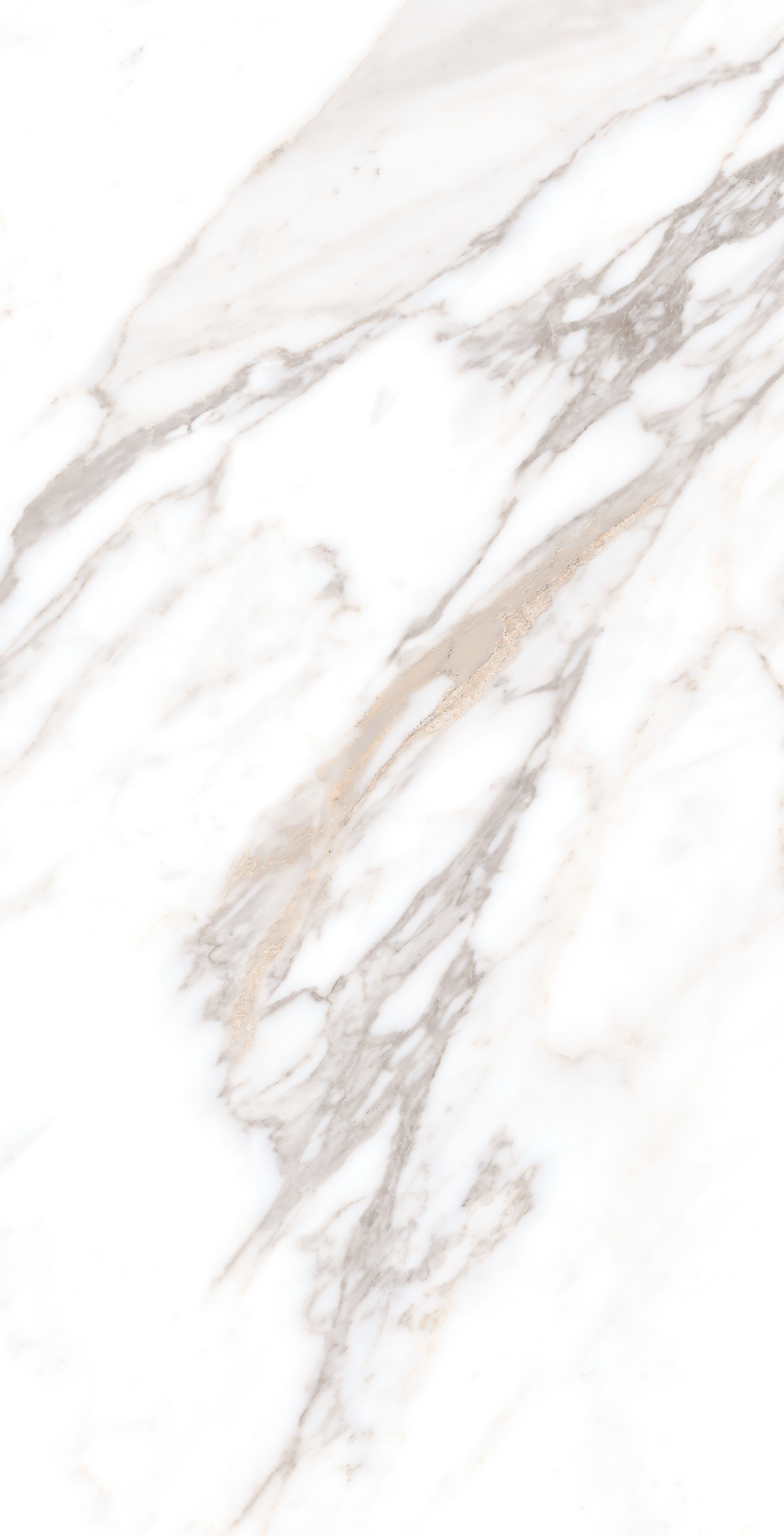 Calacatta Borghini Sugar 60х120 Gresant