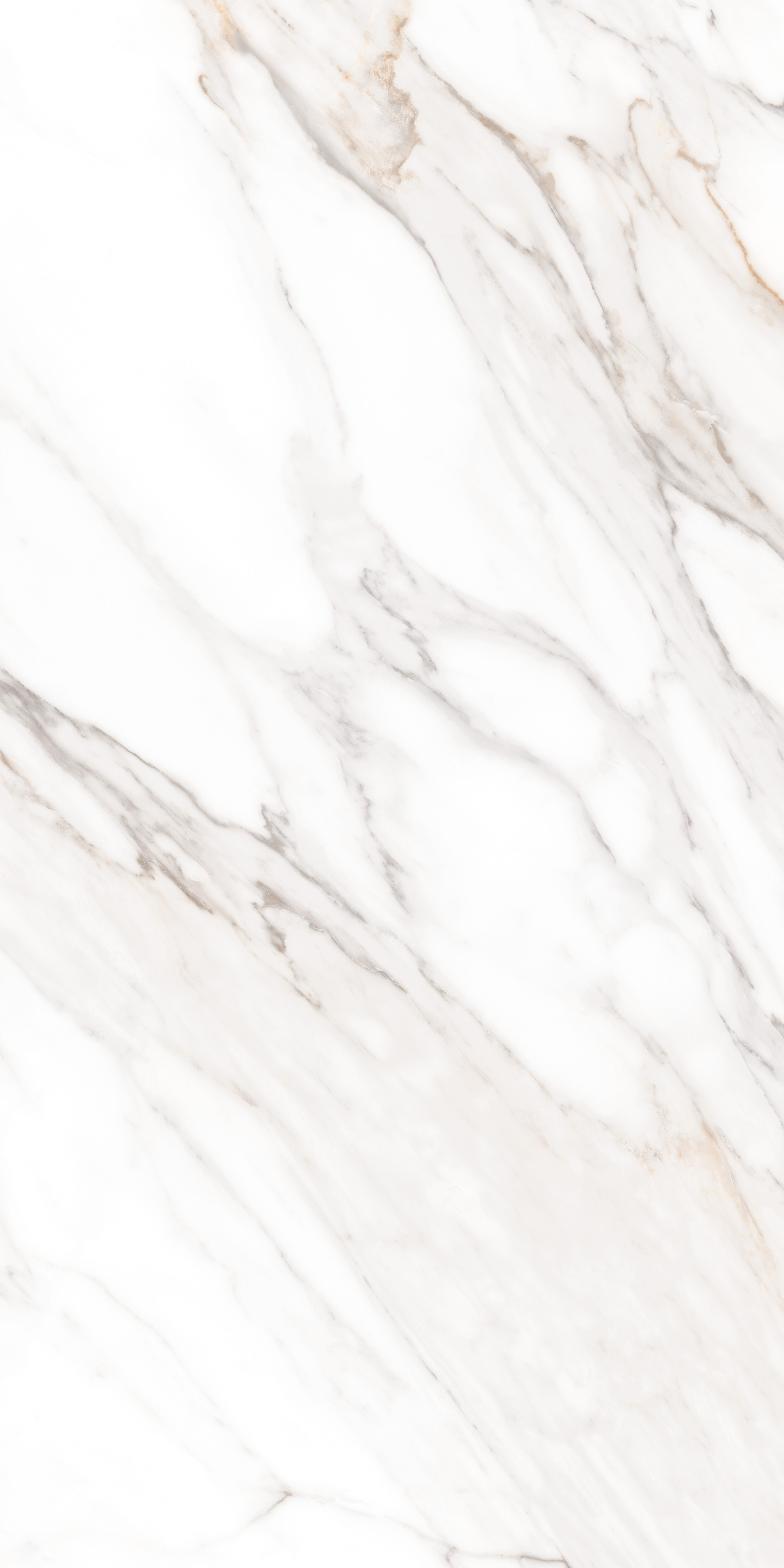 MPL-058631 Calacatta Gold Polished 60x120 Creto