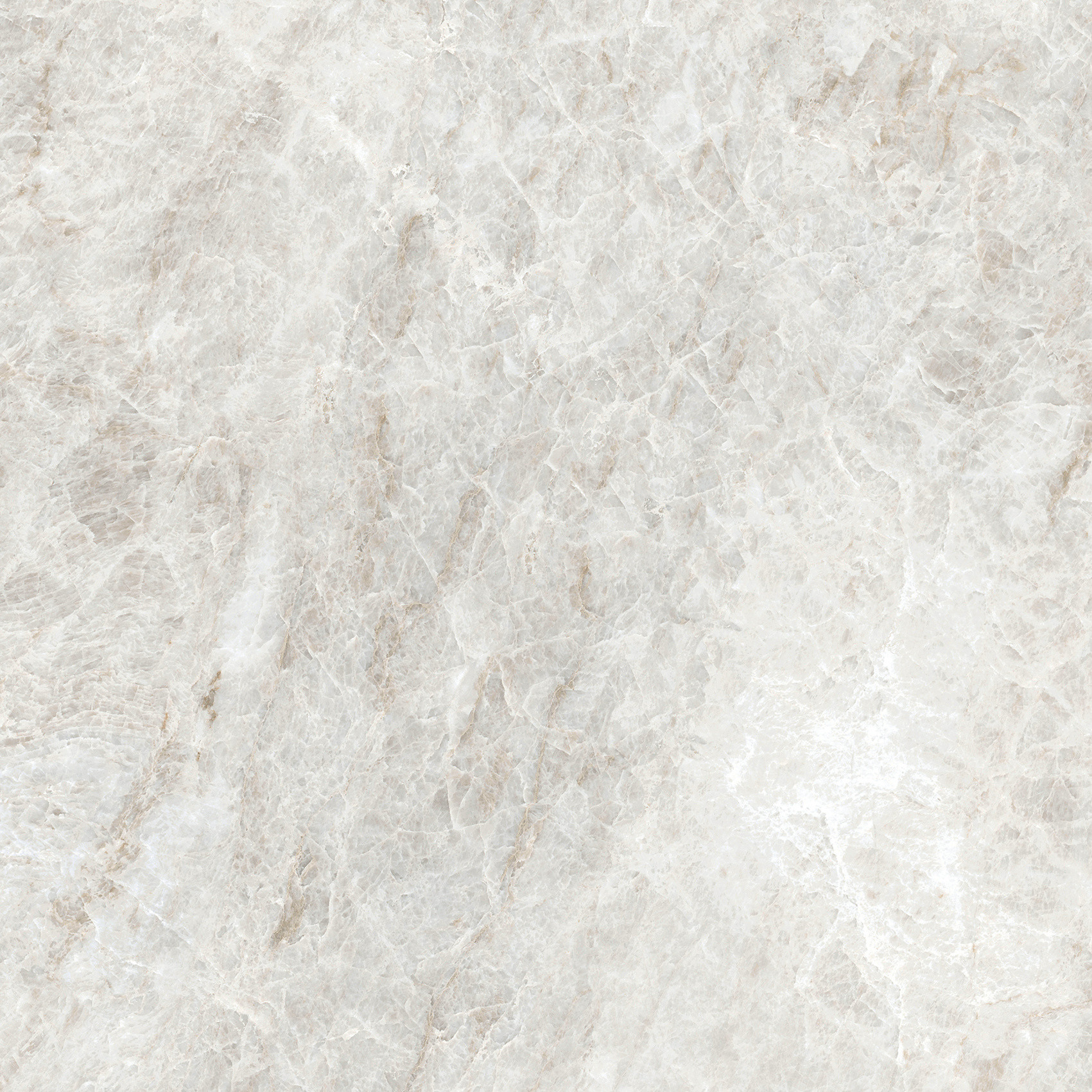 784549 Iconic Life Rice Yamuna Glossy 60x60 Cerim фото 12