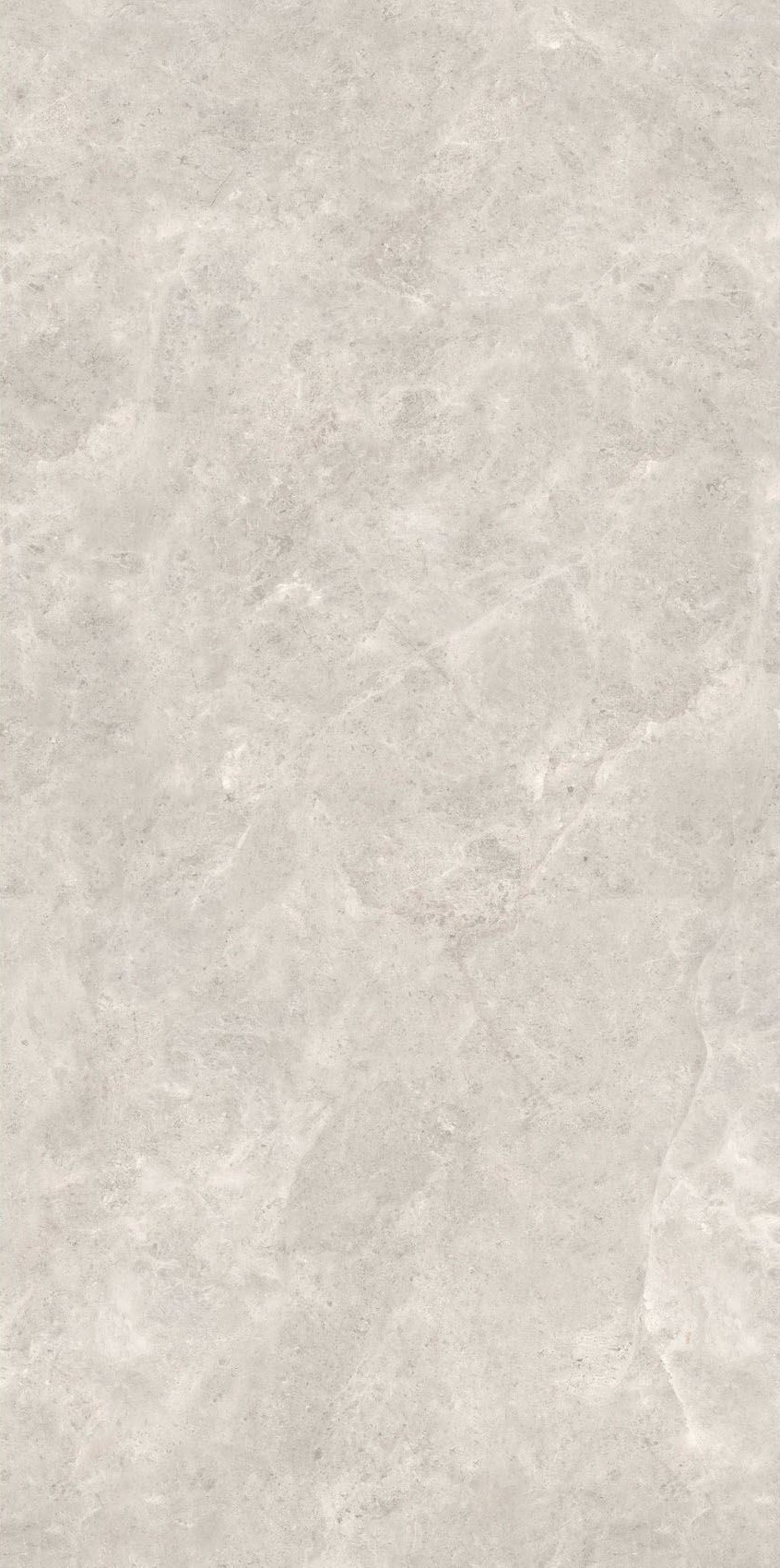 MN226AR321606 Platinum Leica Silk 6mm 160x320 Moreroom Stone