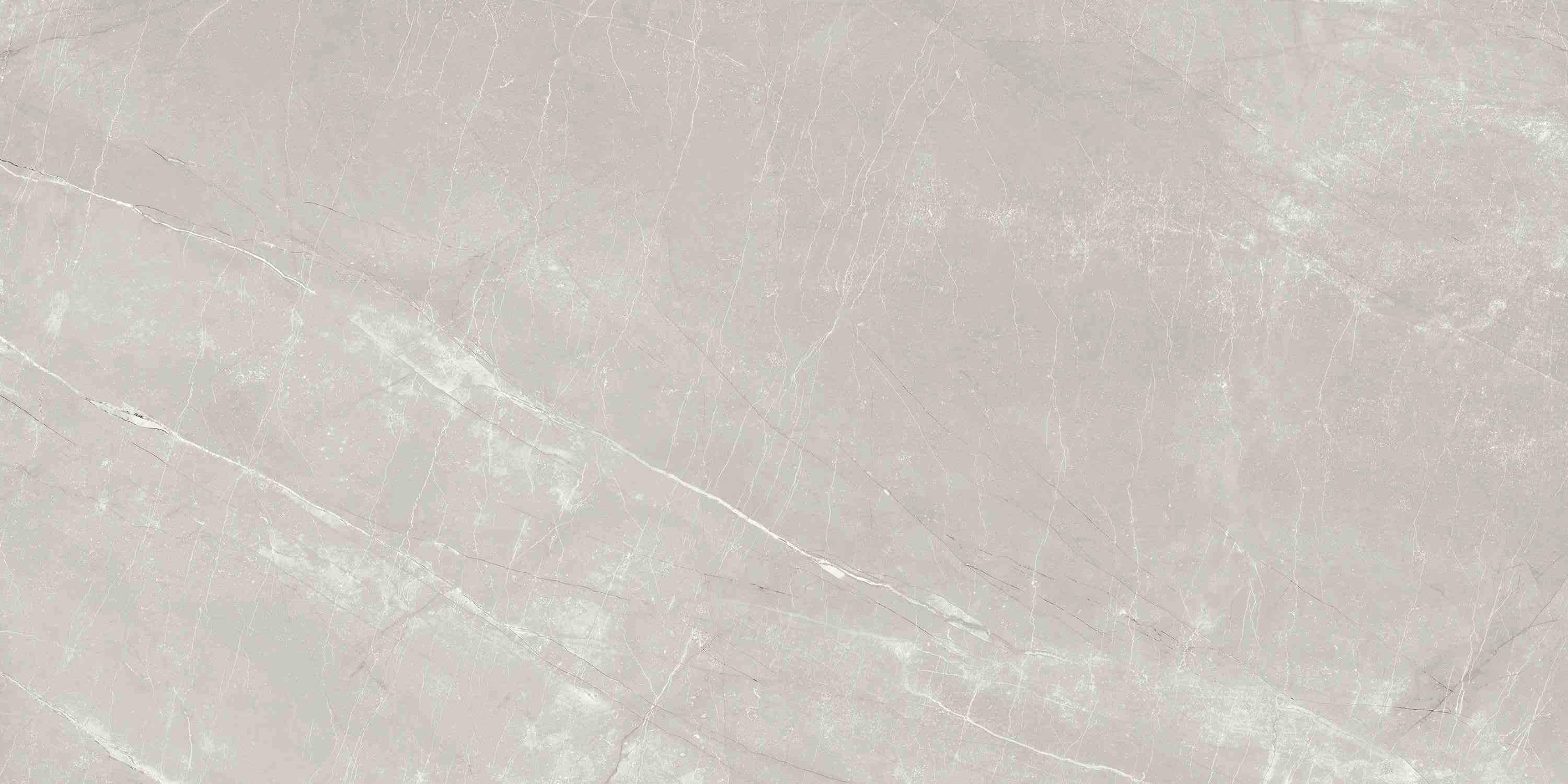 ENSTN7004MT60120 Alaska Grey Matt 60x120 Ennface фото 7