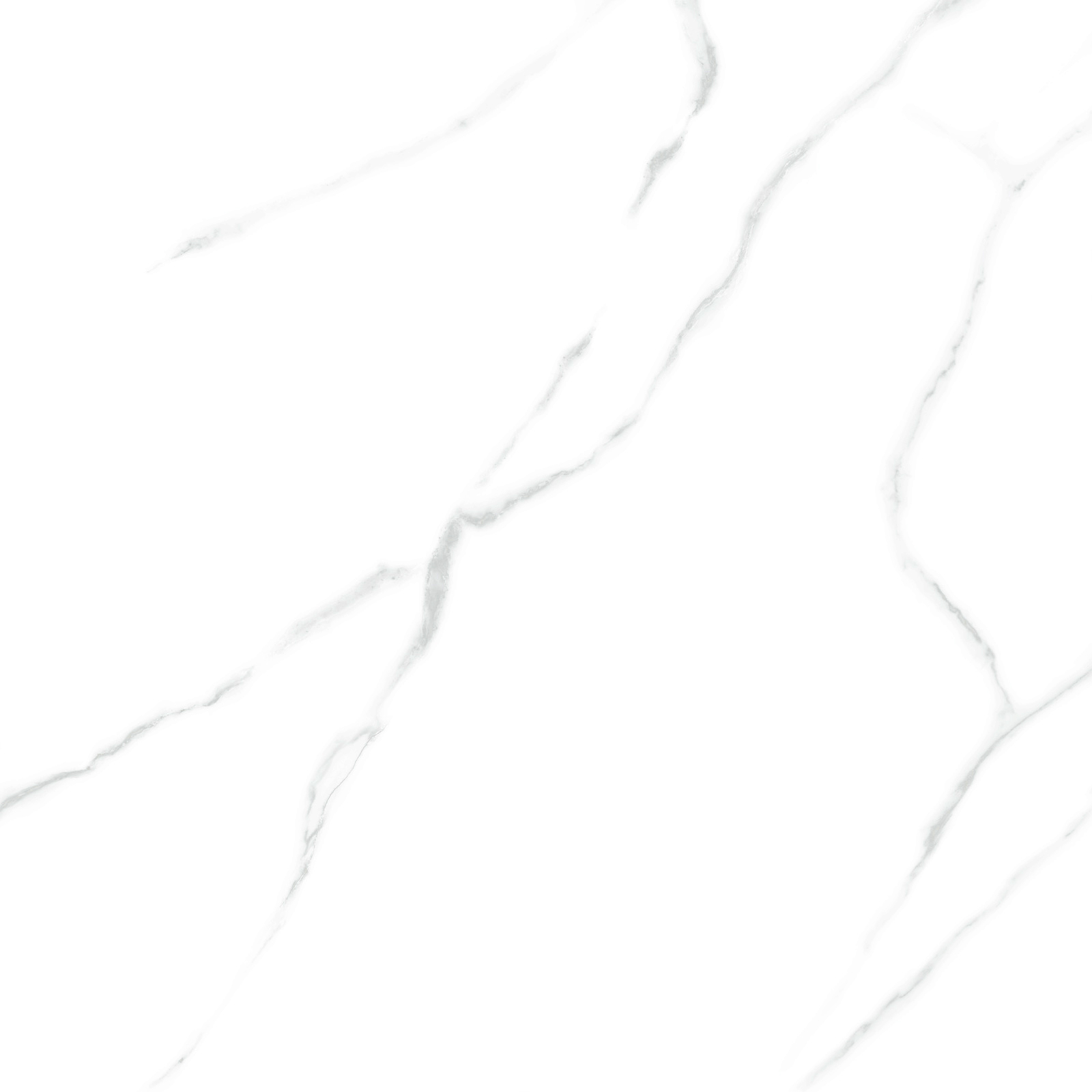 6060AMR00P Atlantic Marble 60x60 LCM