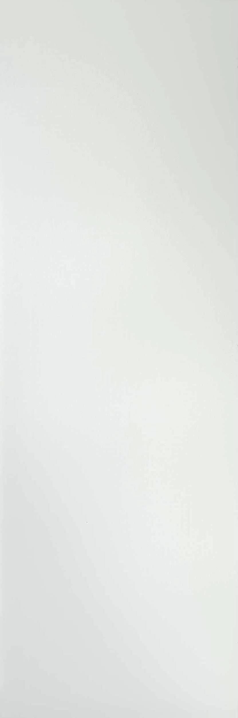 LAMF002879_IT Filo Brina 3+ 1000x3000 Laminam