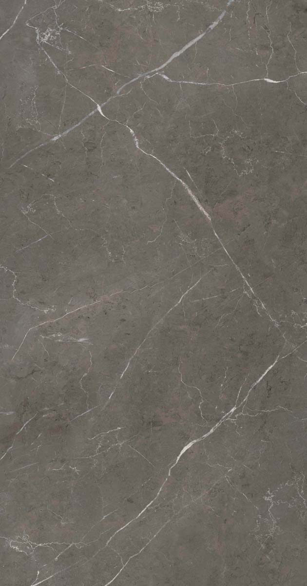 PF60006313 Stone Grey Lux R 60x120 ABK фото 13