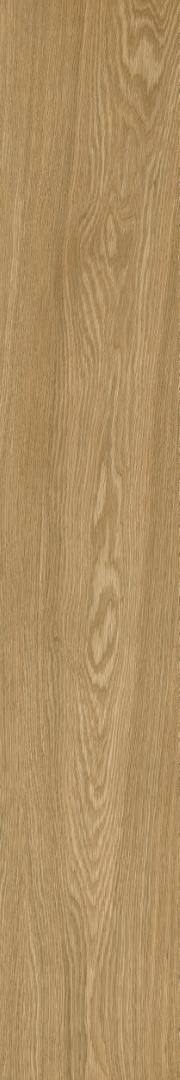 610010003503 Ducale Nut Ret 20х120 ColiseumGres