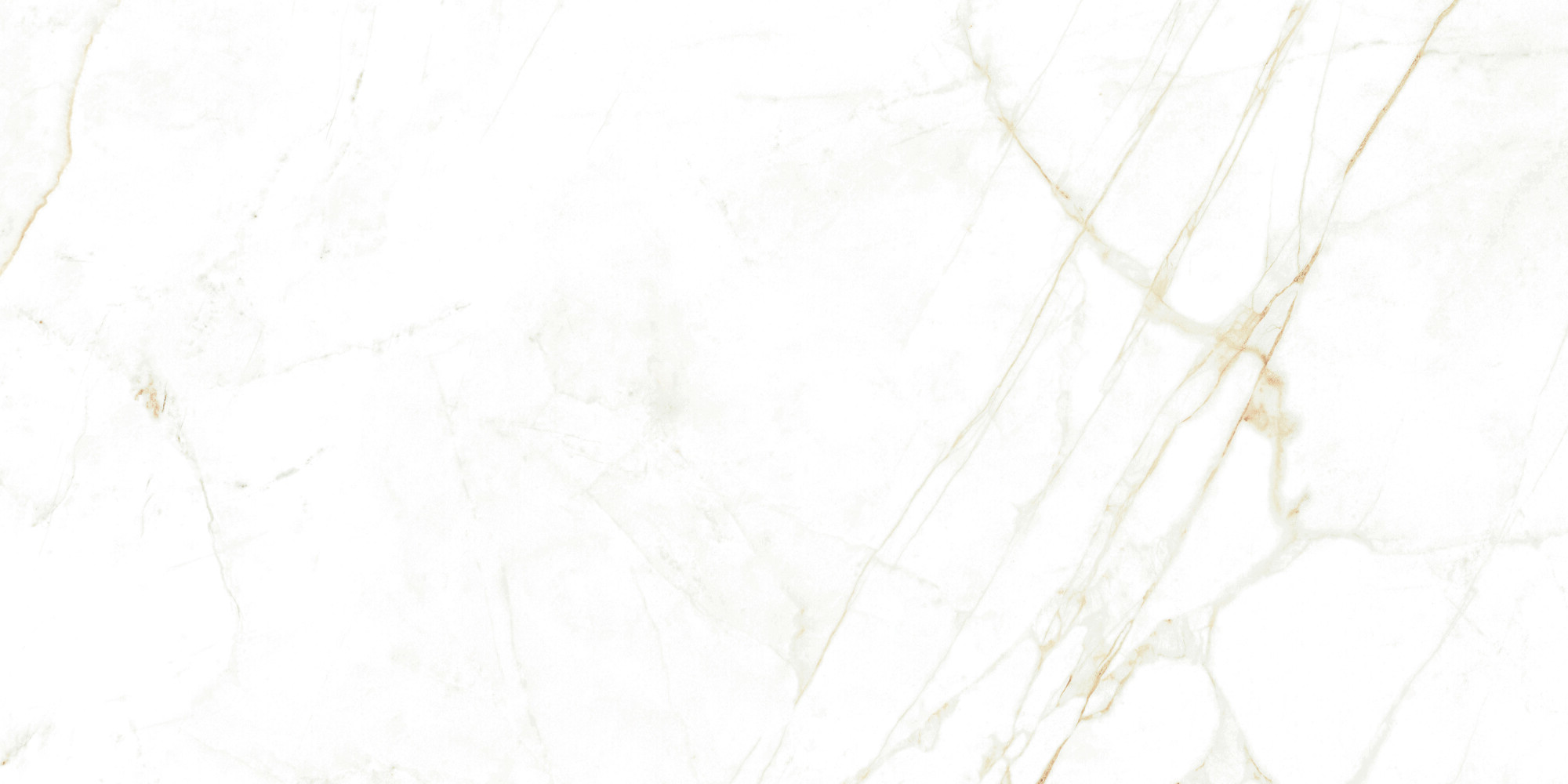 38712 Dual White NT/60X120X0,9/C/R 60x120 Peronda