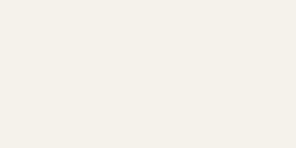 N12041 Blossom Pure Matt 60x120 Neodom