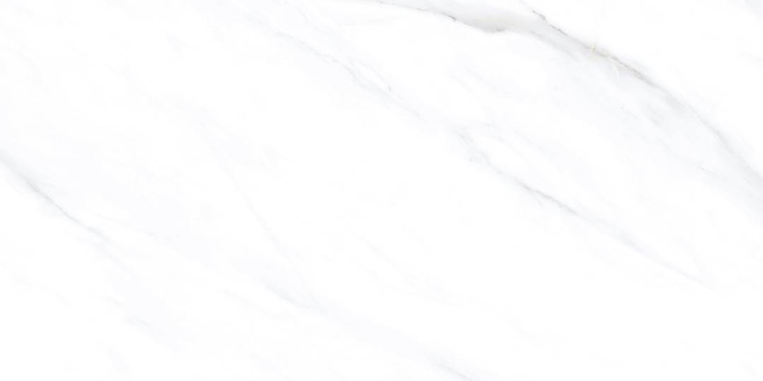 LC201 Palido Grey Lapato Carving 60x120 PrimaVera