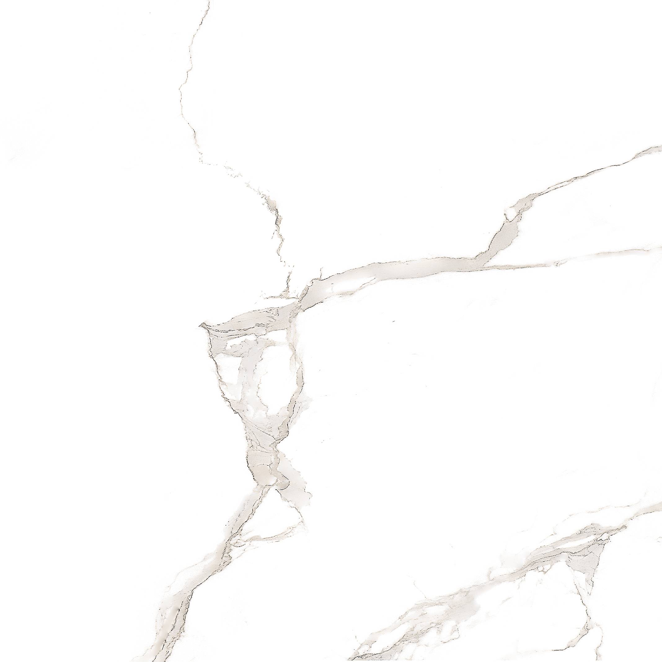 Carrara White 60х60 SotGres