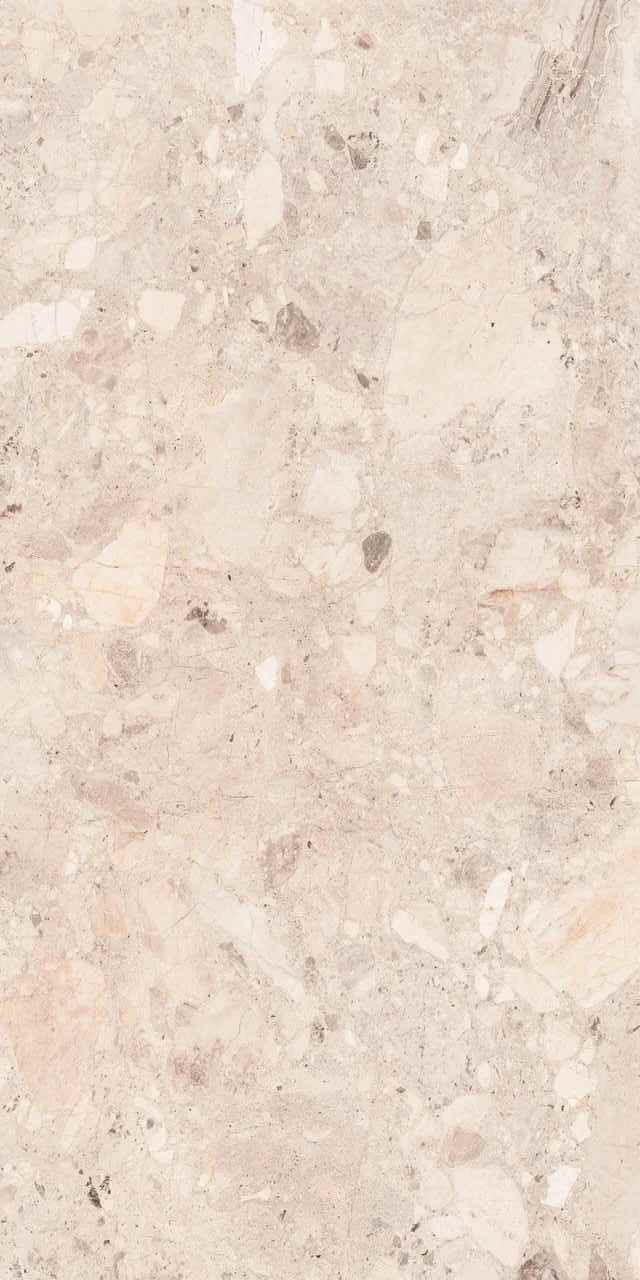 Clio Ivory Deck 60x120 BELLEZA