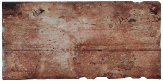 1048186 CHICAGO OLD CHICAGO XL 20x40 CIR