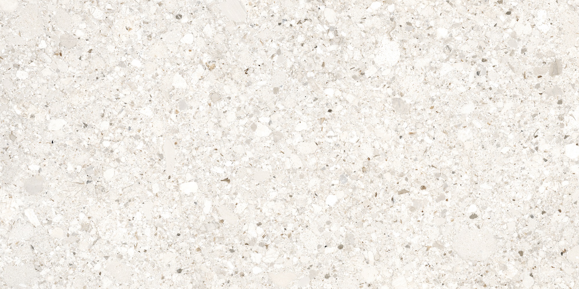 K958027R0001VTER BiancoRomano Слоновая Кость Матовый R10A Ректификат 60x120 Vitra фото 6