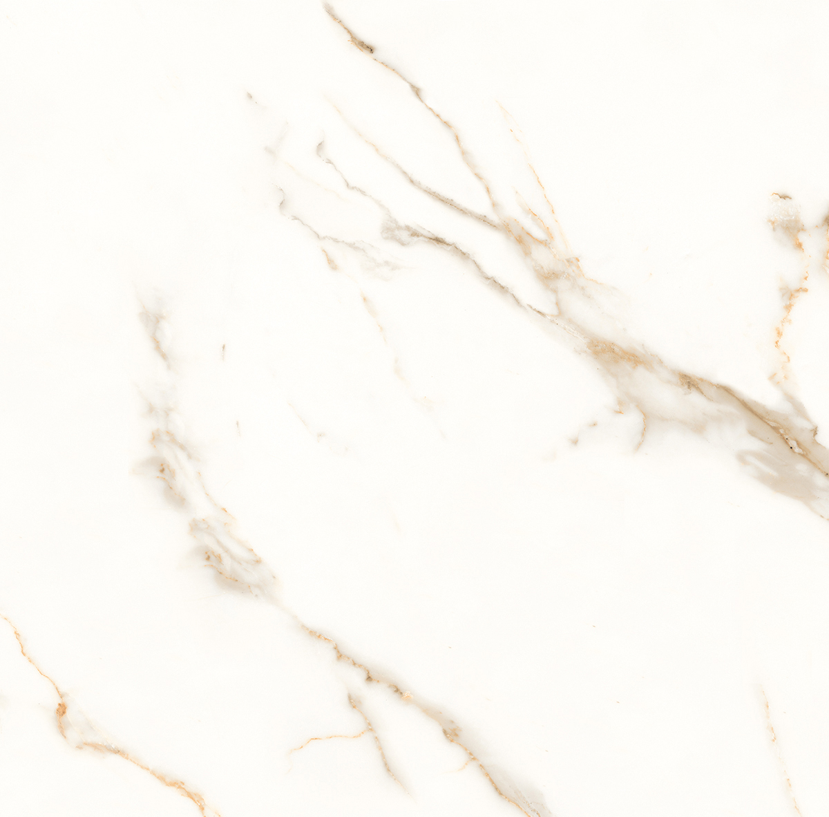 Venato Calacatta Gold белый сатинированный 60х60 Laparet